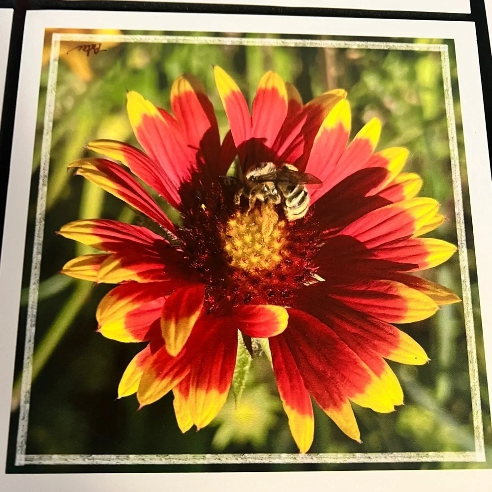Pacific Northwest Photo Tile Set – 7 Original 8x8 Nature Photography Pieces